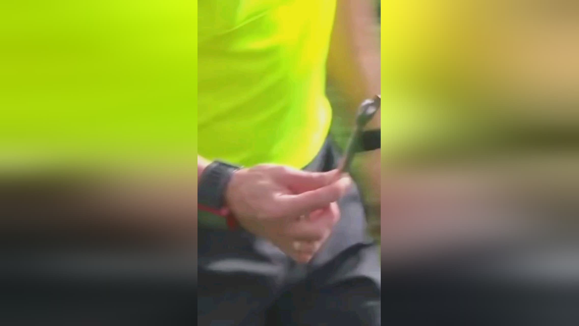 界的代